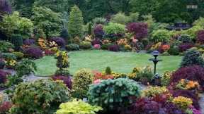 Best ideas! - Top 80 Garden Small Backyard Landscaping | Beautiful Gardens Ideas
