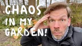 Renovating an abandoned Tiny House #83: Chaos in my garden!