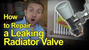 HOW TO REPAIR A LEAKING RADIATOR VALVE - Plumbing Tips
