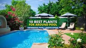 Swimming Pool Landscaping: 10 Best Plants for Around Pool 🌲 🌿 🏊