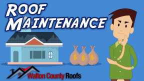 Roof Needs Attention or Maintenance - Walton County Roofs