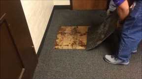 Carpet tile replacement