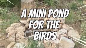 DIY Bird Pond | Spring Projects