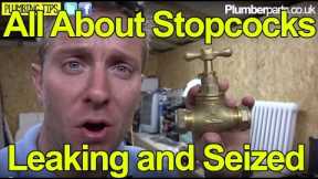 YOUR MAINS WATER STOPCOCK - HOW THEY WORK - FIXING LEAKS - Plumbing Tips