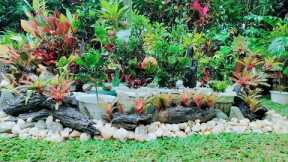 NEW AMAZING GARDEN LANDSCAPING DESIGN WITH NO COST//UNUSUAL IDEAS USING RIVER  ROCKS
