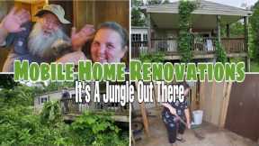It's a Jungle out there.  Mobile Home Renovations / Mobile Home Living
