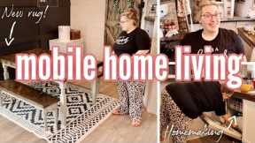 *NEW RUG!* spend the day with me | mobile home living | mobile home homemaking and mom life!