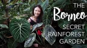 Borneo SECRET RAINFOREST Private Garden + 8 Creative Tropical Garden Design Tips!