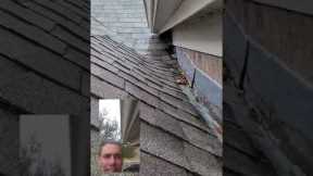 roof leak / roof repair