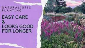 Naturalistic planting design - how to get it right in your own garden