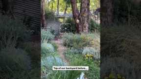 A garden makeover BEFORE & AFTER - Garden Design - Landscape Design - Gardening in Australia