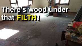 Hoarder Aftermath: Cleaning RUINED hardwood floors