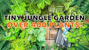 Small U.K. Jungle Garden Design Tips & Plant Ideas with Simon Mabury