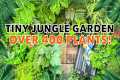 Small U.K. Jungle Garden Design Tips