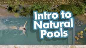 Introduction to Natural Pools