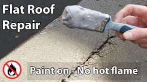 Flat Roof Leak Repair - Paint on Liquid Waterproof Sealant