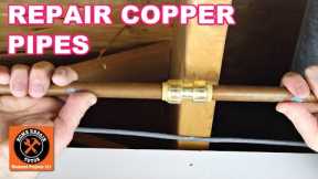 Repair Copper Pipe Leaks with SharkBites (Super EASY)