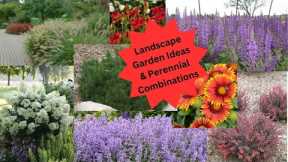 Landscape Design Ideas and Perennial Combinations