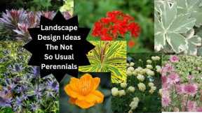 Landscape Design Ideas - Unusual Perennials