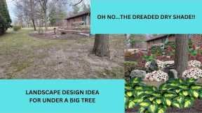 Landscape Design Ideas-Dry Shade