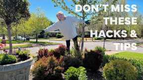 Don't Miss These Garden Design Hacks and Tips