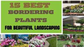 15 Landscape Bordering Plants | Best Perennials For Garden Bed Borders | Front Row Perennials