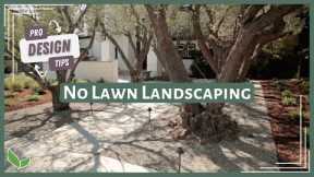 NO GRASS Front Yard Ideas | Xeriscape Landscape Design Tips from a Landscape Designer!