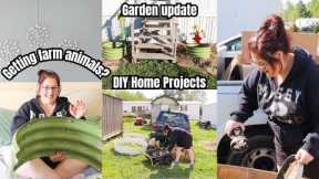 GETTING FARM ANIMALS? // DIY HOME PROJECTS REFRESH // GARDEN UPDATE // YARD CLEAN UP // DITL