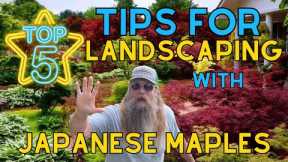 Top 5 Tips For Landscaping With Japanese Maples | DIY Garden Design | MrMaple