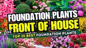 🏡 25 Best FOUNDATION PLANTS for Front of House! 😍✨ FRONT YARD FABULOUSNESS! 😱