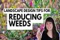 Landscape Design Tips for Reducing