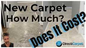 New Basement Carpet Cost 2022