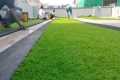 Pvc Artificial Grass Laying #carpet