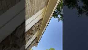 Foundation cracks that continue into wall. #foundation #crack #homeinspection