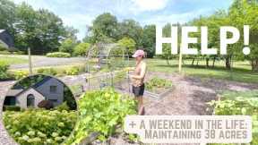 What It Takes to Maintain 38 Acres + Large Garden Landscaping Ideas