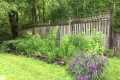 A few native plant garden design tips