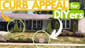 3 DIYer Landscape Designs UNDER $1,000 ( ☢️ Don't OVERPAY! ☢️)