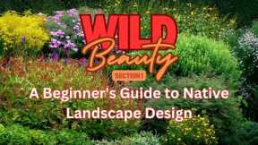 🌿 Welcome to Wild Beauty – Your Guide to Native Landscape Design! 🌿