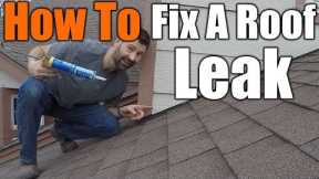 How To Fix A Roof Leak | THE HANDYMAN |