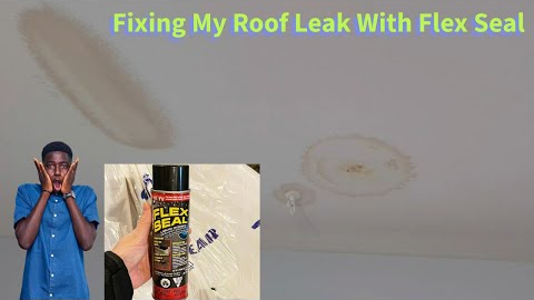 Fix ANY ROOF LEAK in Minutes with Flex Seal!