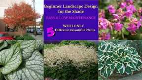 Landscape Design Ideas:  Beginner Shade Garden