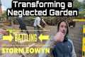 Transforming a Neglected Garden -