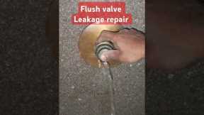 Easily repair flush Valve spindle #plumbing #shortvideo #diy