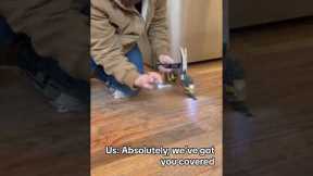 How to replace boards in a hardwood floor