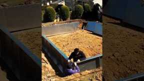 How to Build A Pool with Steel Walls - Time Lapse #aoe2023 #pool #poolinspiration #realestate #water