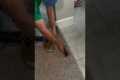 Fitted Carpet Installation in Austin, 
