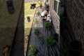 How We Create A Flower Bed - Start to 