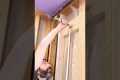 How to Test Shower Valve Plumbing -