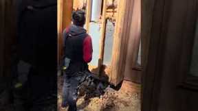 Home renovation #construction #homeimprovement #contractors #diy #foryou