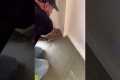 HOW TO REMOVE Old Carpet Like a pro
